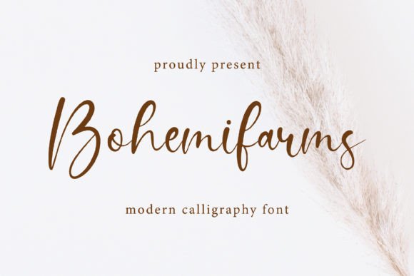 Bohemifarms Typeface for Elegant Web Design