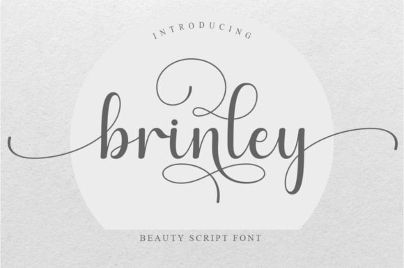 Brinley Font Review: Elegant Script for Branding