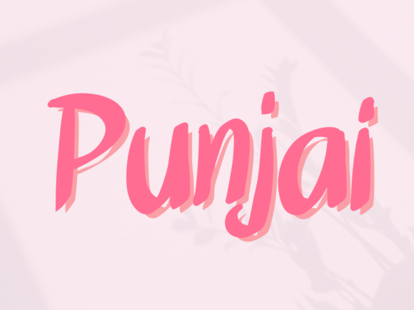 Punjai: A Joyful Script Handwritten Font for Editors