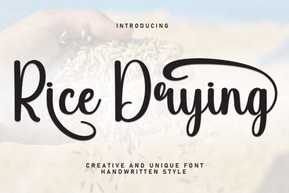 Rice Drying Font: A Sweet Script for Modern Web Design